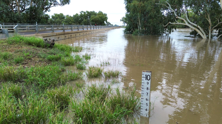 Cunnamulla flooding