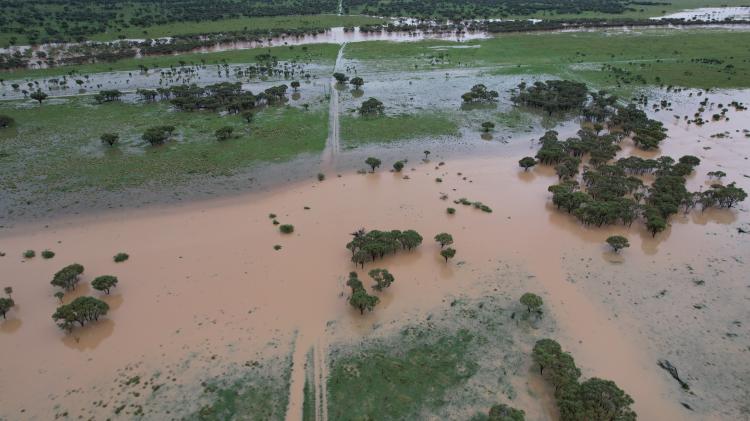 Barcaldine in flood