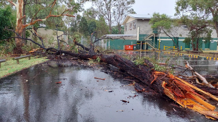 Brisbane storm damage