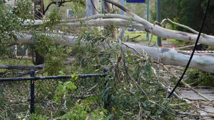 Damage in City of Moreton Bay