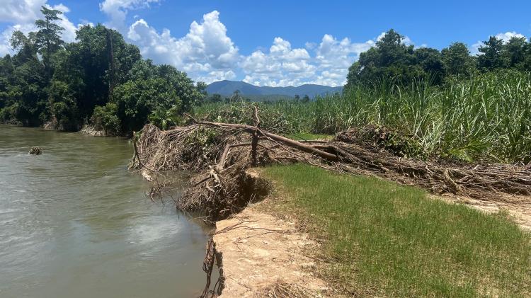 Enviro damage 2025