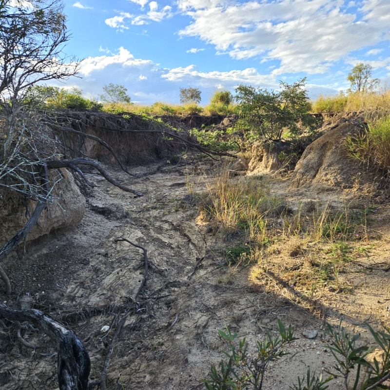 Gully caused by erosion