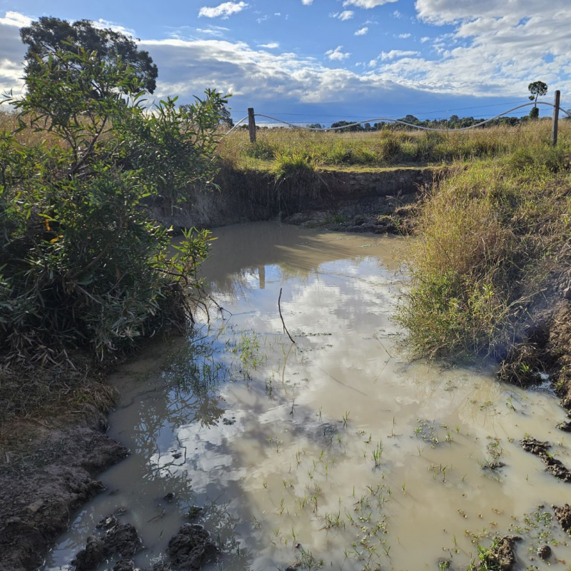 Pooled water in gully.