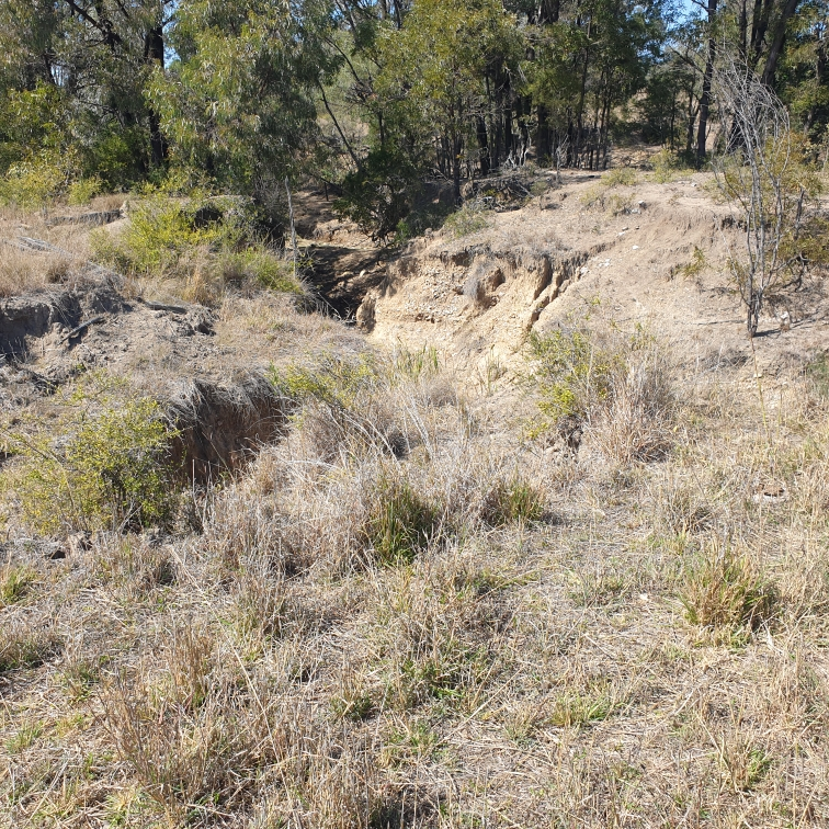 Damage at Lowe farm