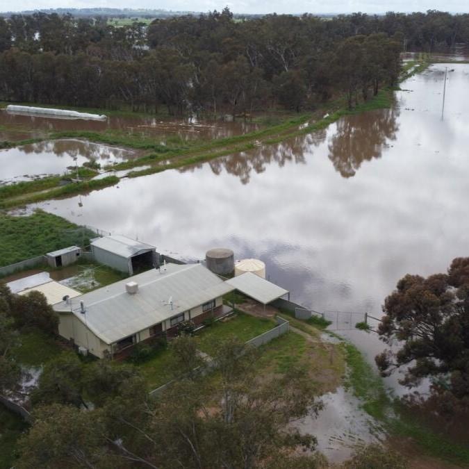 Flooded dairy