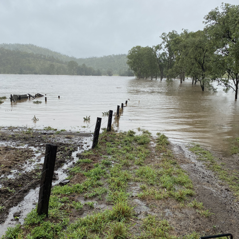 Flooded fence