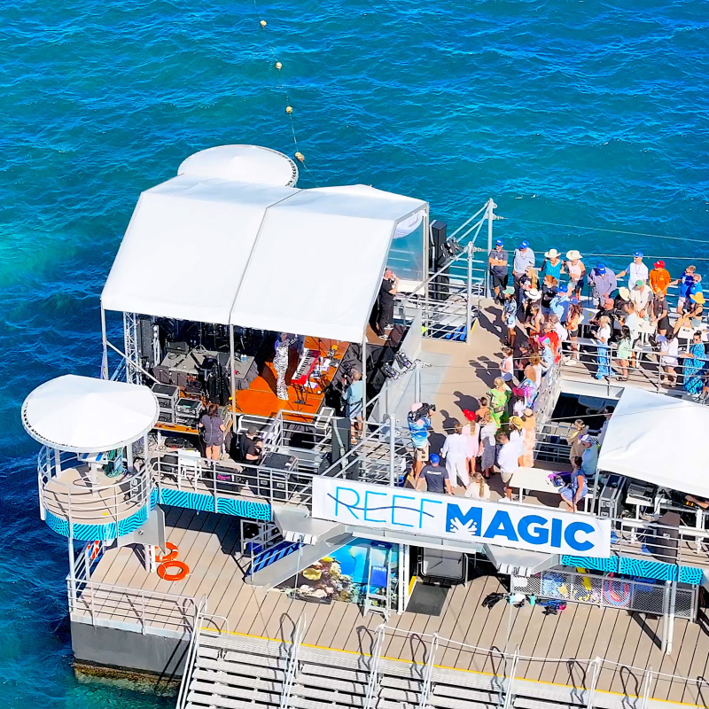 Reef Magic
