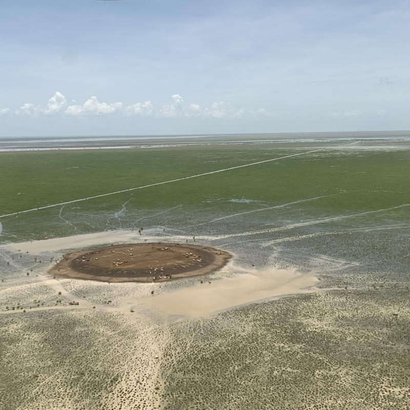 Flood Refuge Mound