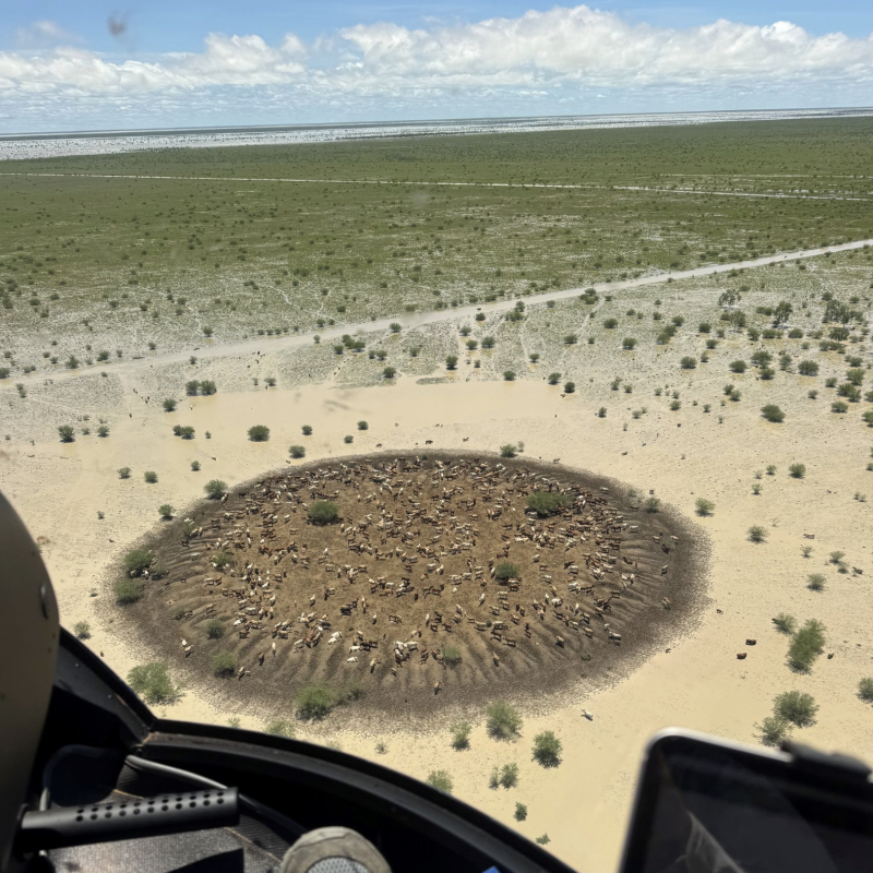 Adapting to risks 